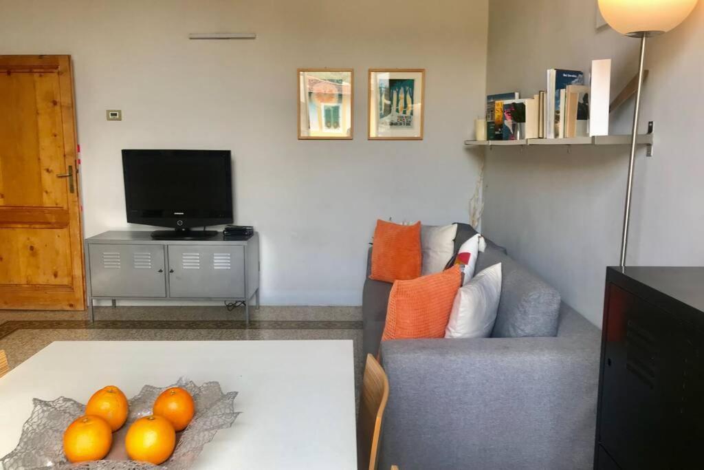Sunny Top Floor In San Frediano 피렌체 외부 사진